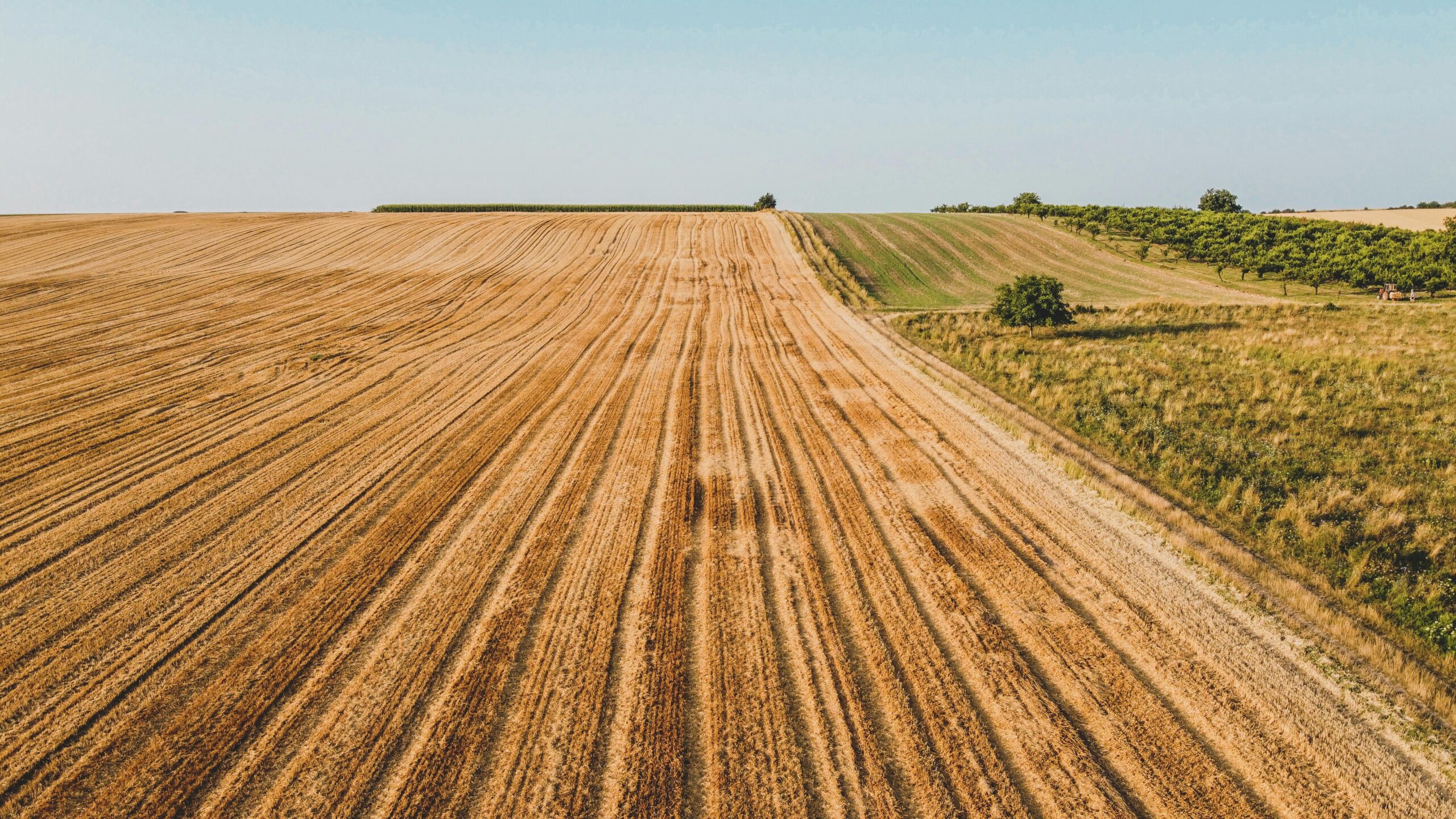 pexels-czapp-arpad-3647289-11802281-scaled Γεωργικοί κίνδυνοι: Τι λέει η Παγκόσμια Τράπεζα για την Ε.Ε.